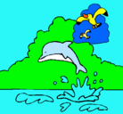Dibujo Delfín y gaviota pintado por bbh