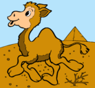 Dibujo Camello pintado por kellyn