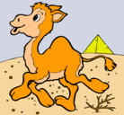Dibujo Camello pintado por javiergomezz