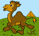 Dibujo Camello pintado por yuhjh