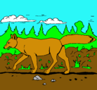 Dibujo Coyote pintado por Nico
