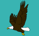 Dibujo Águila volando pintado por zdenki
