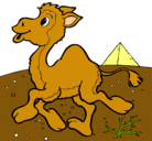 Dibujo Camello pintado por rodolfo