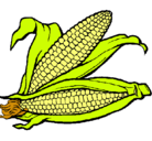 Dibujo Mazorca de maíz pintado por ELOTE01