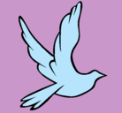 Dibujo Paloma de la paz al vuelo pintado por sandrahidalgo