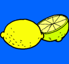 Dibujo limón pintado por ina
