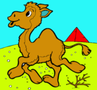 Dibujo Camello pintado por federico