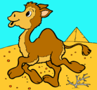 Dibujo Camello pintado por chakan2