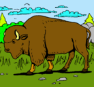 Dibujo Búfalo  pintado por ASD
