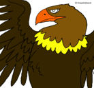Dibujo Águila Imperial Romana pintado por champi99