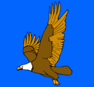 Dibujo Águila volando pintado por pablobuendia