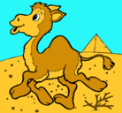 Dibujo Camello pintado por uuuuuuuuuuuuuuuuuuh