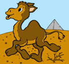 Dibujo Camello pintado por yesi
