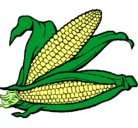 Dibujo Mazorca de maíz pintado por Heyner