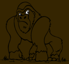 Dibujo Gorila pintado por PABLO