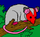 Dibujo Ardilla possum pintado por juande