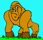 Dibujo Gorila pintado por osmar