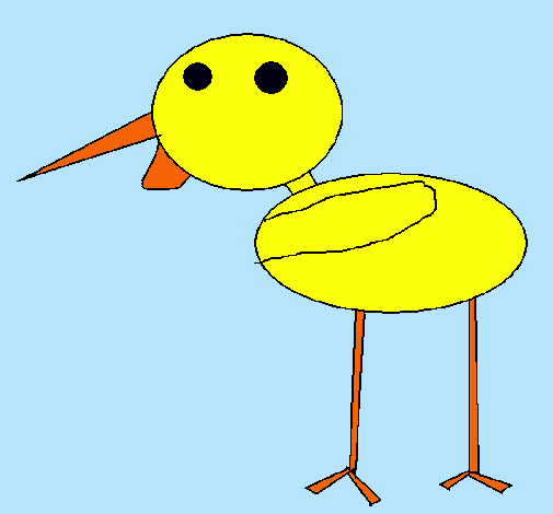 Pájaro 2