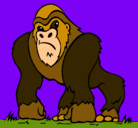 Dibujo Gorila pintado por myriam