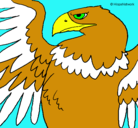Dibujo Águila Imperial Romana pintado por lorena979