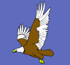 Dibujo Águila volando pintado por goku