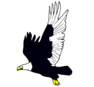Dibujo Águila volando pintado por YARY