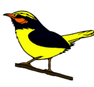 Dibujo Pájaro silvestre pintado por turpial