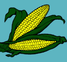 Dibujo Mazorca de maíz pintado por john