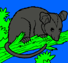 Dibujo Ardilla possum pintado por reymisterio