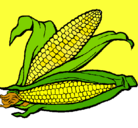 Dibujo Mazorca de maíz pintado por Giovanna