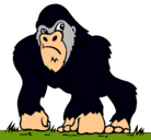 Dibujo Gorila pintado por mateoroldan