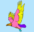 Dibujo Águila volando pintado por Carolina