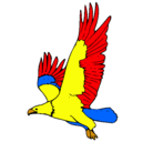 Dibujo Águila volando pintado por gust