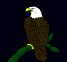 Dibujo Águila en una rama pintado por vicky