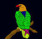 Dibujo Águila en una rama pintado por djrayan