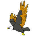 Dibujo Águila volando pintado por LEO-RAMOS