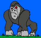 Dibujo Gorila pintado por uriel