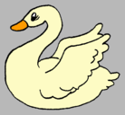 Dibujo Cisne pintado por solcis