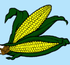Dibujo Mazorca de maíz pintado por carol