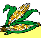 Dibujo Mazorca de maíz pintado por soli