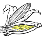Dibujo Mazorca de maíz pintado por alencita