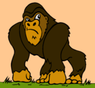 Dibujo Gorila pintado por diego