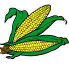 Dibujo Mazorca de maíz pintado por bm