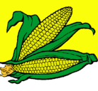 Dibujo Mazorca de maíz pintado por danna