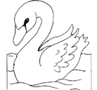 Dibujo Cisne pintado por milton