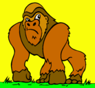 Dibujo Gorila pintado por tamara
