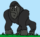 Dibujo Gorila pintado por zeth