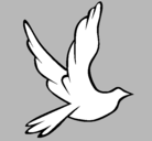 Dibujo Paloma de la paz al vuelo pintado por MARI