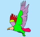 Dibujo Águila volando pintado por rosty