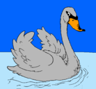 Dibujo Cisne en el agua pintado por LUCIA